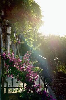 Villa Tamara 12 Adult Hotel