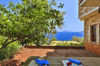 Villa Tamara 12 Adult Hotel