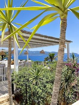 Villa Tamara 12 Adult Hotel
