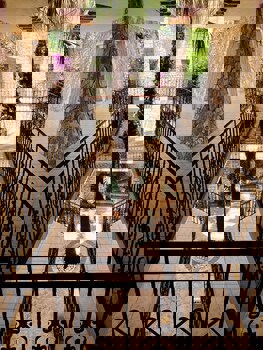 Villa Tamara 12 Adult Hotel