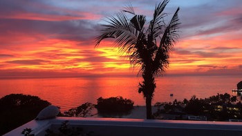 Argonauta Boracay Boutique Hotel With Apartments And Villas