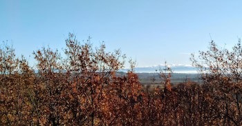 Agriturismo Tenuta Monte la Guardia galeri fotoğrafı