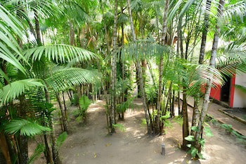 Encantes Do Nordeste