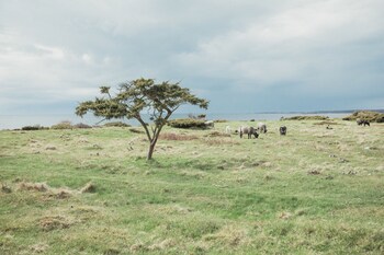Torekov Hotell