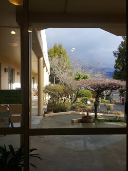 Abelia Motor Lodge