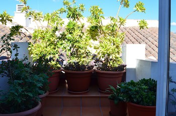 Apartamentos San Pablo