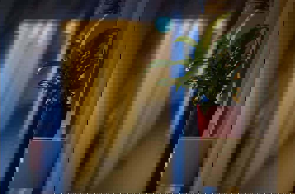 Gaestehaus Kaiserpassage - Hostel