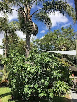 Colonial House Motel