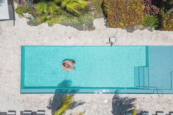 Dolphin Suites & Wellness Curacao