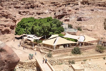 Petra Guest House
