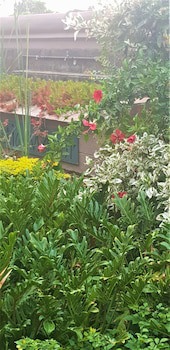 Constantia Manor Guest House