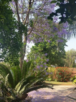 Constantia Manor Guest House