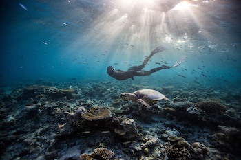Dusit Thani Maldives