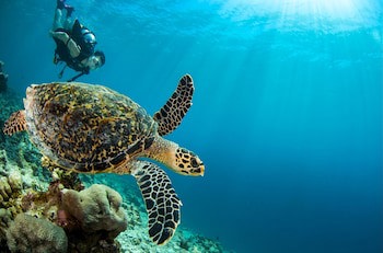 Dusit Thani Maldives