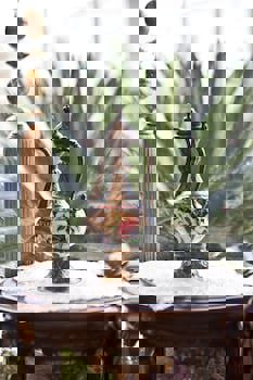 Ottomans Life Hotel S Class