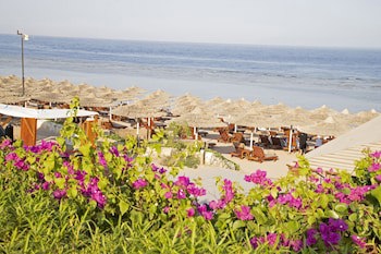 Cleopatra Luxury Resort Sharm El Sheikh Only Adults And Family