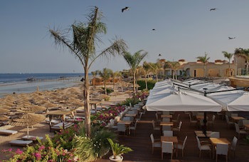 Cleopatra Luxury Resort Sharm El Sheikh Only Adults And Family