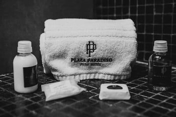 Plaza Paradiso Petit Hotel