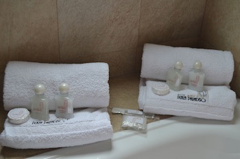 Plaza Paradiso Petit Hotel