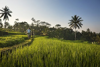 Como Shambhala Estate