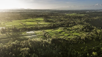 Como Shambhala Estate
