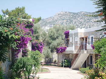 Bodrum Park Resort - All Inclusive galeri fotoğrafı