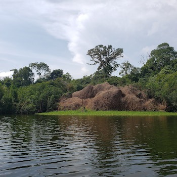 Amazon Arowana Lodge