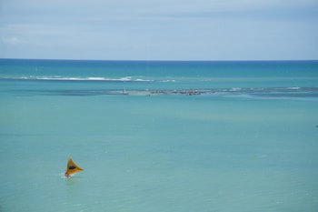 Hotel Brisa Praia