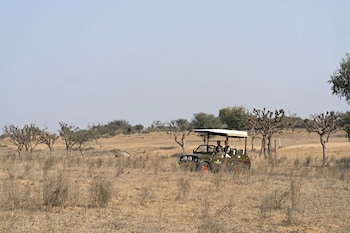 Alsisar Mahal - A Heritage Hotel