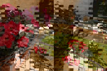 Fresco Cave Suites & Mansions - Special Class