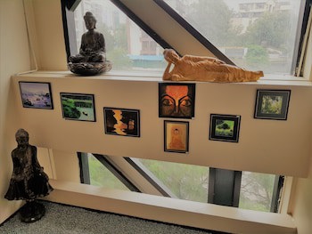 Dragonfly Hotel - The Art Hotel