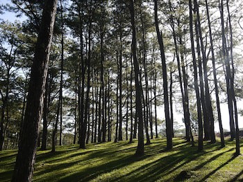 Azalea Hotels & Residences Baguio