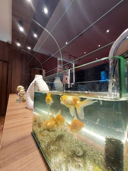 AG Hotel fotoğrafı