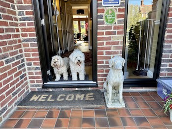 Beechwood B&B