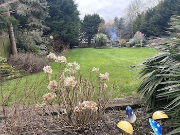 Beechwood B&B
