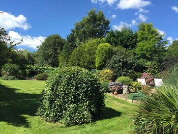 Beechwood B&B