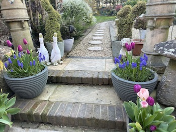 Beechwood B&B