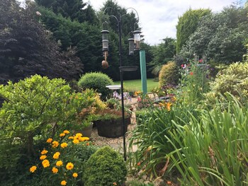 Beechwood B&B