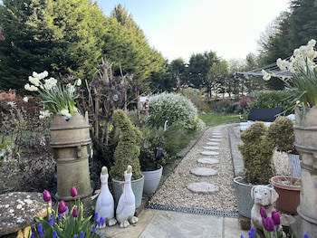Beechwood B&B