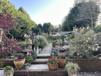 Beechwood B&B
