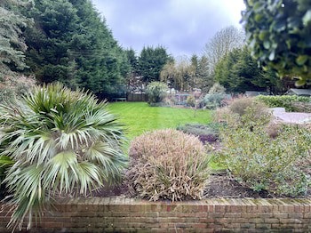 Beechwood B&B