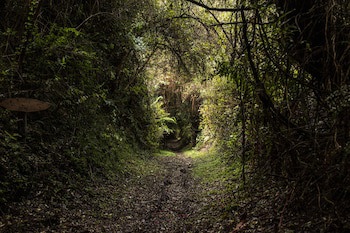 Parque Quilquico