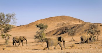 Twyfelfontein Country Lodge