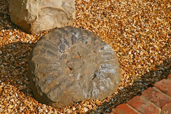 Chale Bay Farm