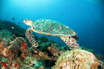 Centara Grand Island Resort & Spa Maldives