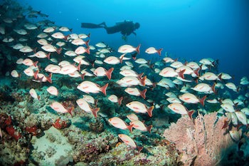Centara Grand Island Resort & Spa Maldives