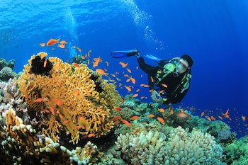Centara Grand Island Resort & Spa Maldives