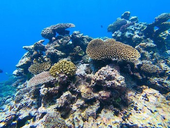 Nasama Resort