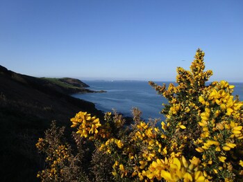 Gallen-Treath Guest House