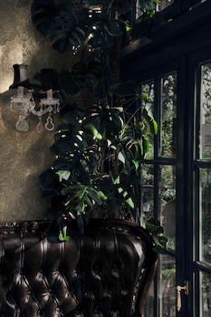 Hotel Villa Achenbach galeri fotoğrafı